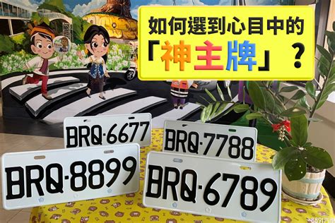 車牌要怎麼選|車牌怎麼選比較好？2種方式4個技巧報你知